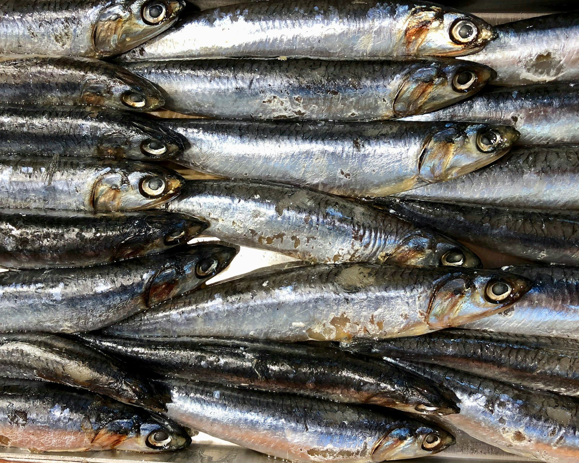 The making, frame by frame: fresh American anchovies (cá cơm Mỹ) on ice, then the rattan-bound wooden vats they ferment in